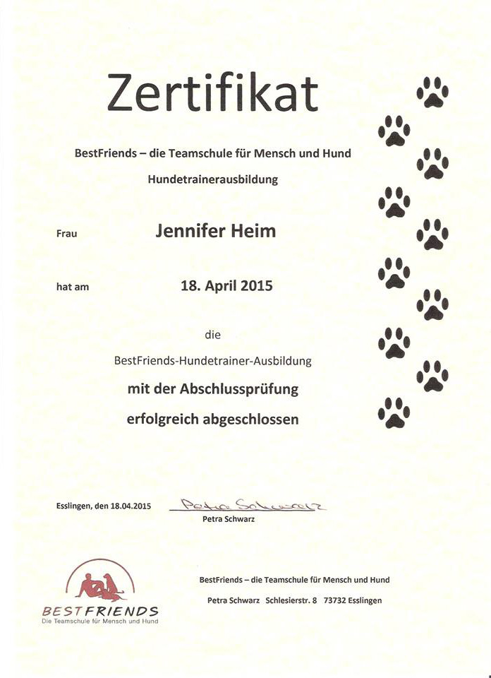 Hundetrainer Zertifikat